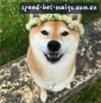 刘洋
